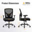 Chaise de bureau Cartavious 500lbs