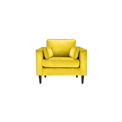 Millerville Velvet Armchair