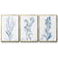 Ensemble de 3 pièces botaniques antiques en bleu I sur toile tendue-97759524-97759525