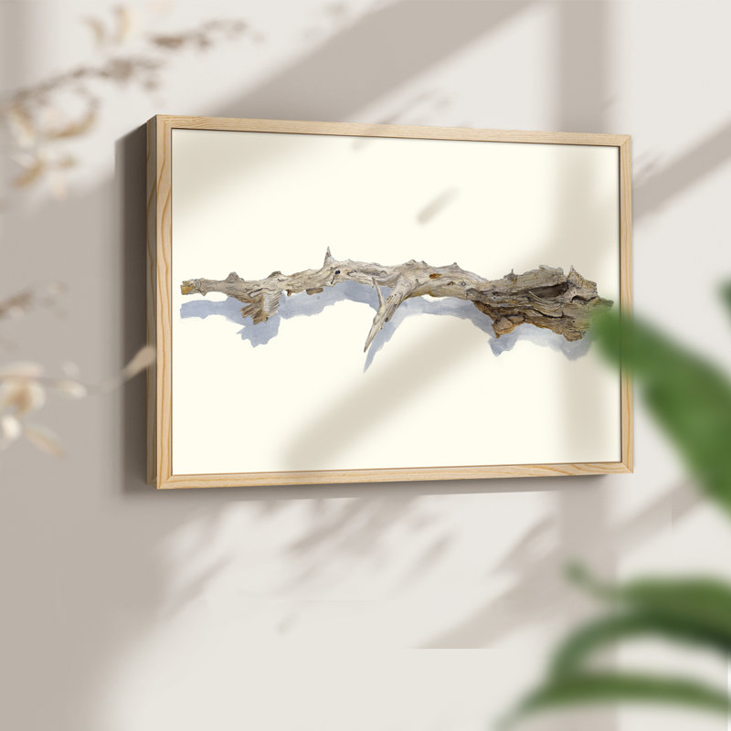 «Driftwood Study I», reproduction encadrée, Naturel, H 16 po x l 20 po