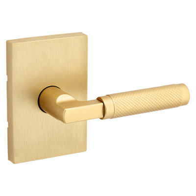 Prava Hall/Closet Lever