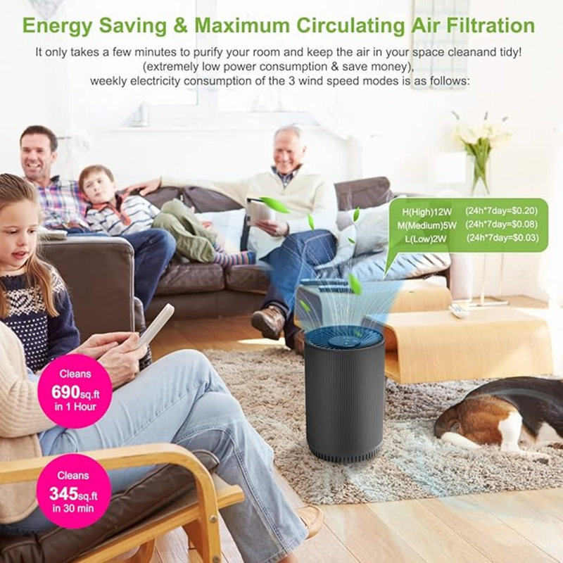 Black HEPA Filter Air Purifiers for Home, 2 Pack