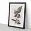 American Magpie by John Audubon - Single Picture Frame Painting-55544836-55544838