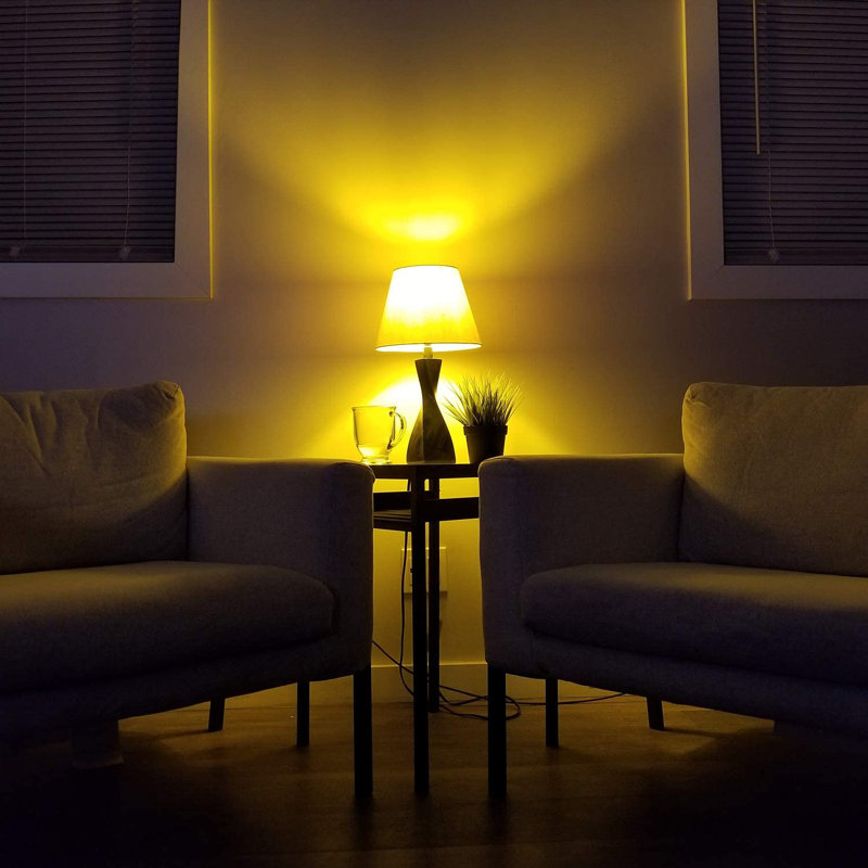 4,5 W (équivalent à 60 W), DEL A19, ampoule à intensité variable, culot moyen E26 (standard)