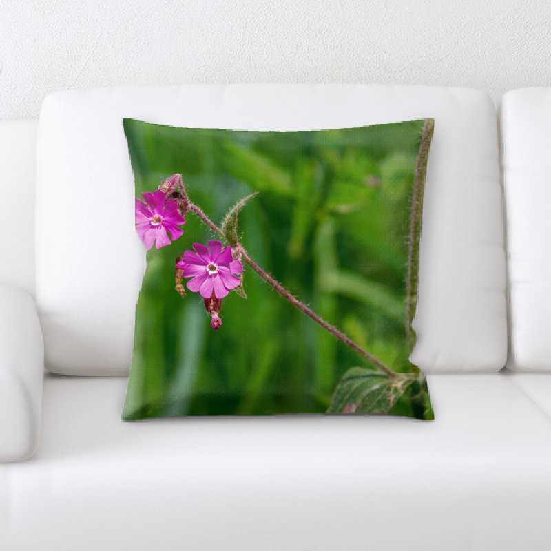 Coussin campion