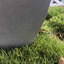 Jardinières en pot-420575516