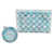 Aqua/Silver selected