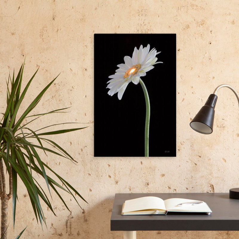Gerber blanc clair - marguerites noires, art floral, H 24 po x l 16 po