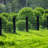 Cattle Panel, Farm Fence, Galvanized Woven Wire Fence Roll 5' x 100', 15/13.5 Gauge, Graduated Mesh (4"-9"), Animal Barrier for Cattle-122235785