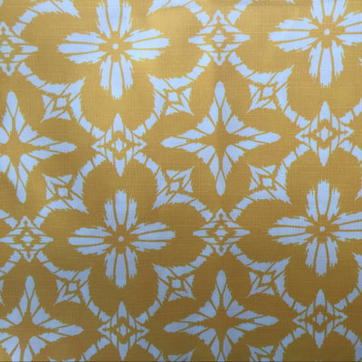 Tissu Aspidoras