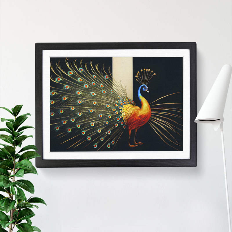 Cosmopolitan Peacock - Framed Print, Black, 46cm H x 64cm W x 2cm D
