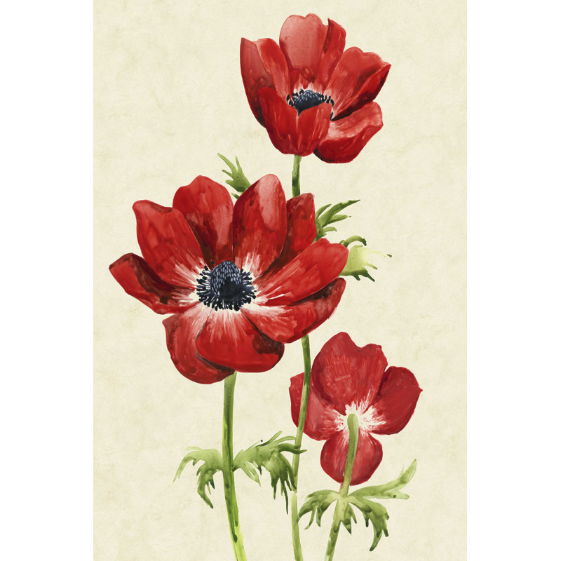 " Heirloom Anemones II " by Grace Popp Painting Print, 48" H x 32" W  