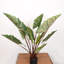 45 po plante artificielle colocasia esculenta en pot, plante artificielle pour plante d'intérieur