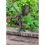Perching Eagle Garden Sculpture