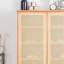 Rangement pratique pour chaussures-1386391307