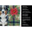 Black Australian Shepherd Christmas PoinsettIas Kitchen Towel-2080584061