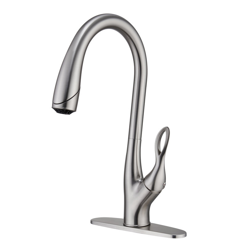 Robinet de cuisine rétractable à poignée simple avec accessoires, Nickel brossé