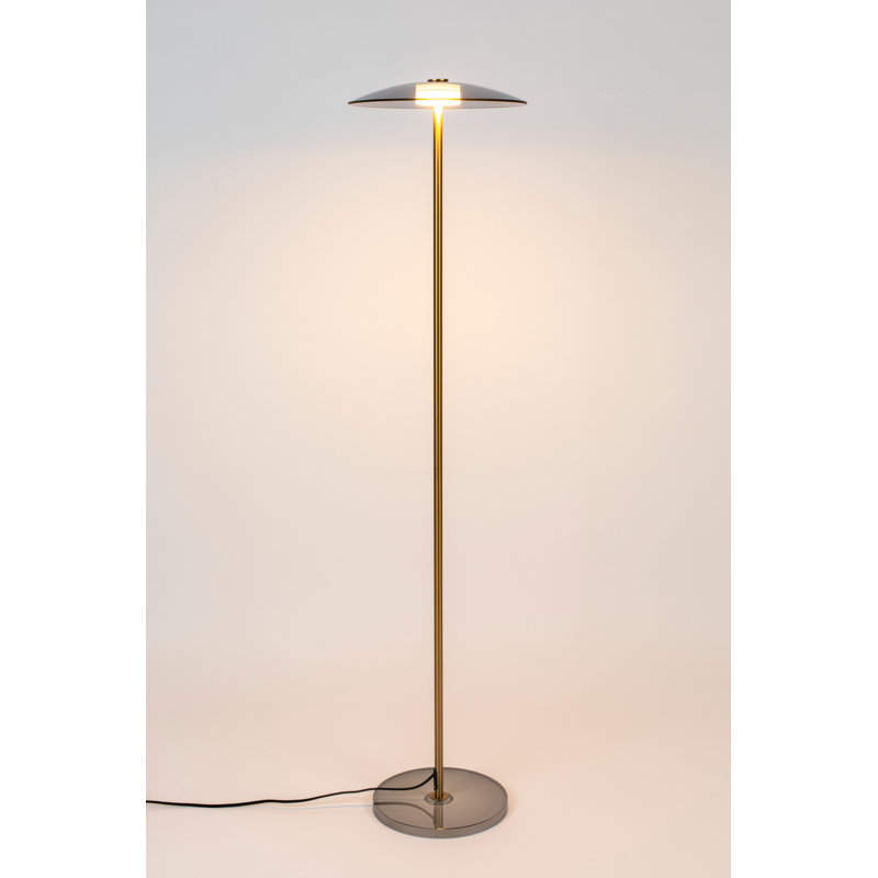 Float 52'' Novelty Floor Lamp