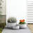 12 in. Pearl White(Upgraded Interior) Small Concrete Round Planter/ Pot Indoor & Outdoro Planter Bowl with Drainage Hole-579127642-541061316