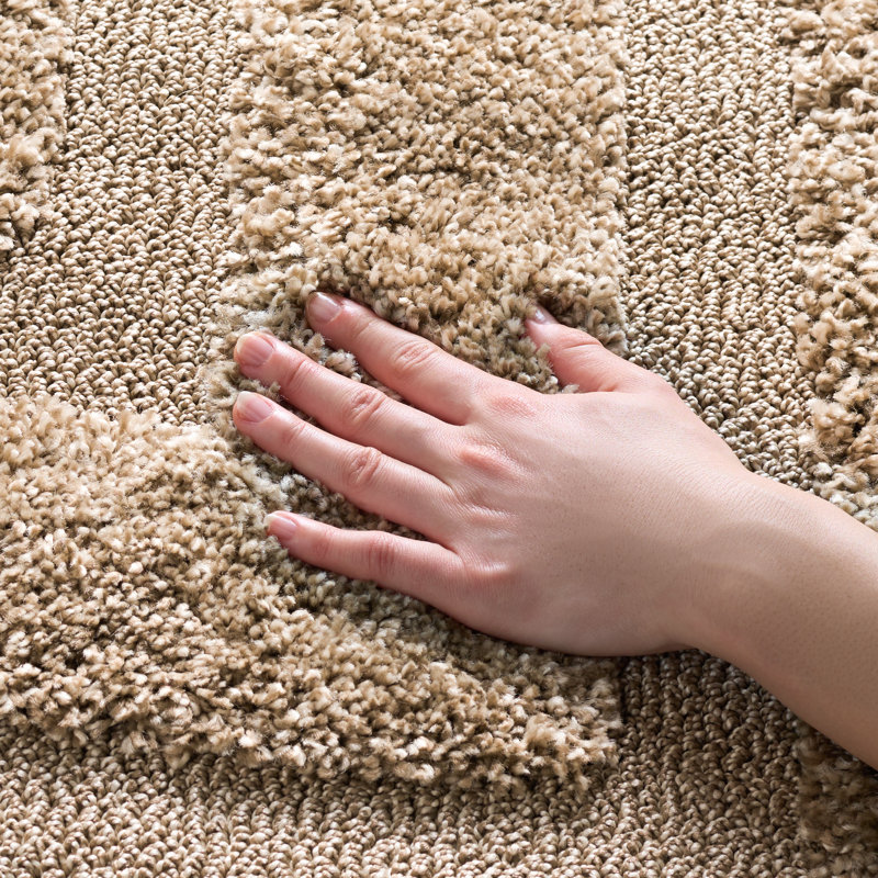 Tapis à poil long de couleur unie Florida Drennen, Rectangle 4pi x 6 pi