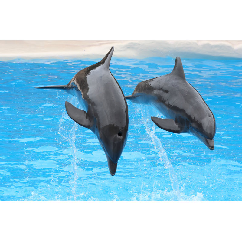 " Dolphins Jumping " by Falcon76, 12" W x 8" H