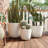 Lightweight  Planter Set Of 3-1179822654