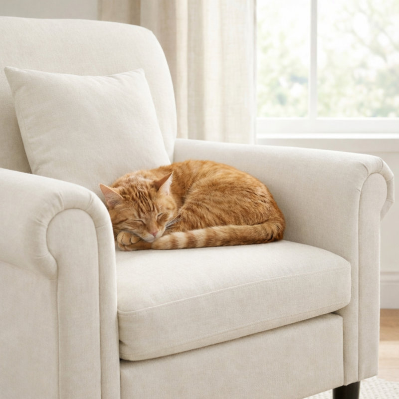Fauteuil d'appoint rembourré avec coussin, Beige