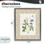 Cadre flottant Botanical Plate Design, design par Val Rhodes-544413788-544413789