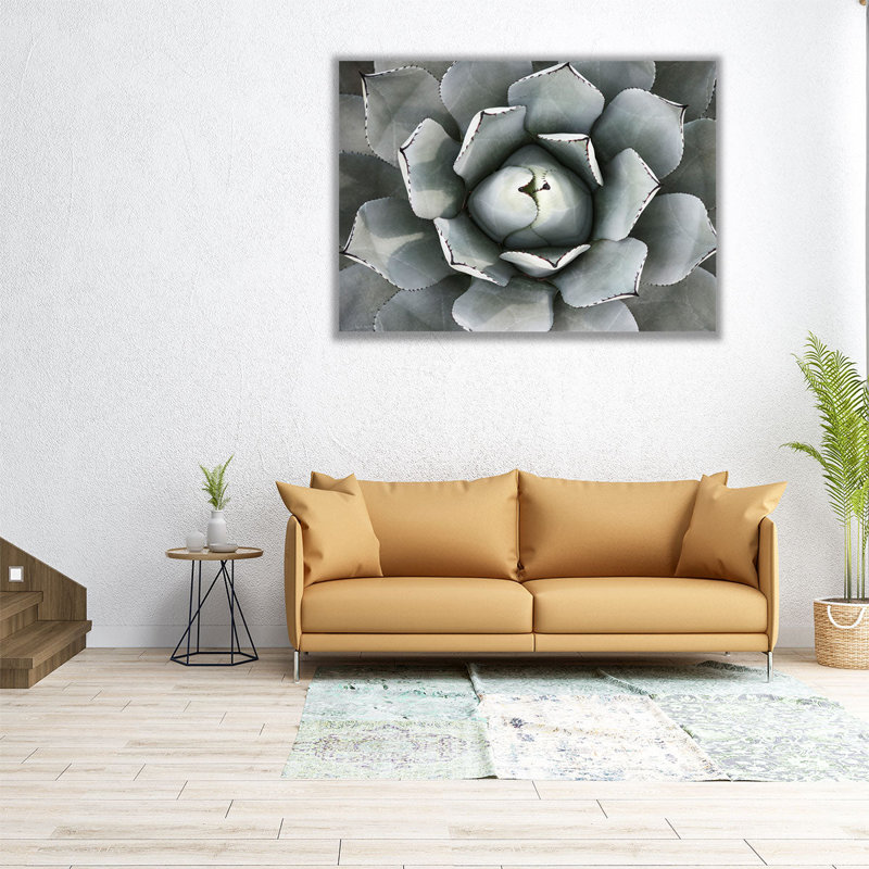 Agave plante - reproduction d'art sur toile, H 18 po x l 24 po