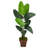 66'' Faux Palm Tree in Planter