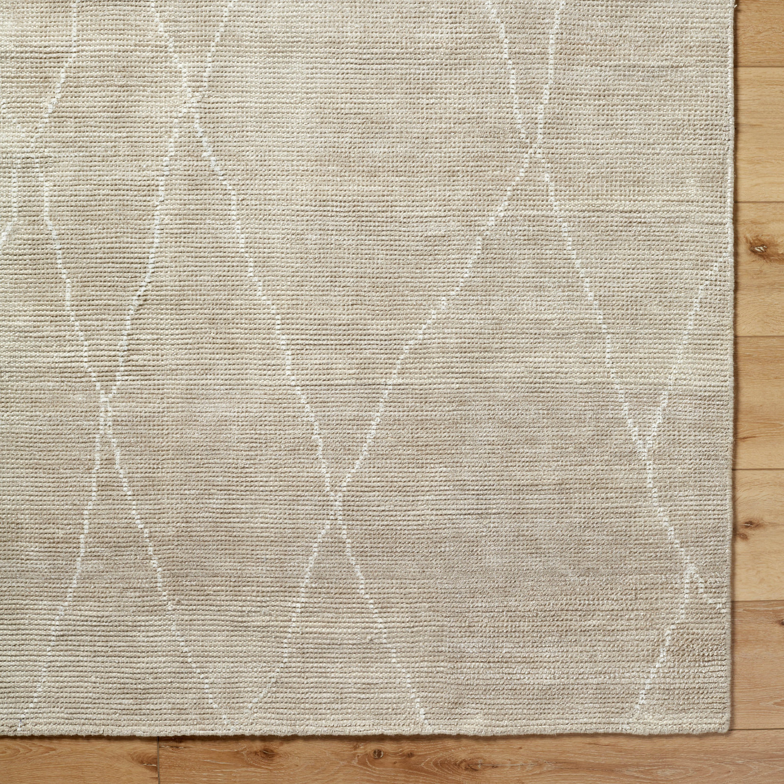 Delaney Handmade Recycled P.E.T Indoor/Outdoor Rug, Rectangle 2' x 3'