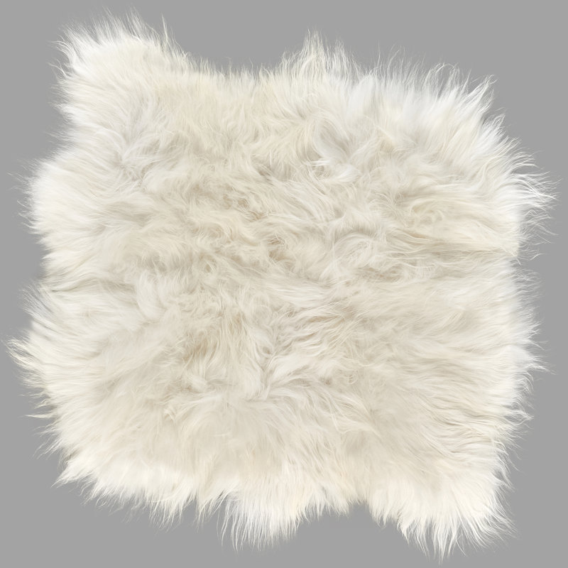 Kearney Novelty 110 cm x 115 cm Sheepskin Area Rug