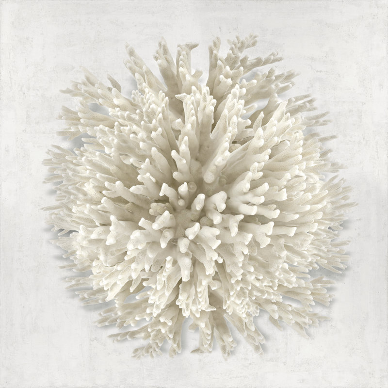 Coral I by Caroline Kelly - Wrapped Canvas Print, 91cm H x 91cm W
