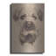 "Border Terrier" par Barbara Keith-2115157556