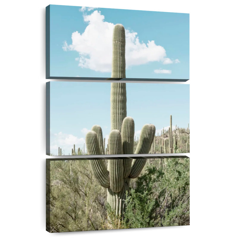 Cactus vert Harnek, H 74 po x l 48 po