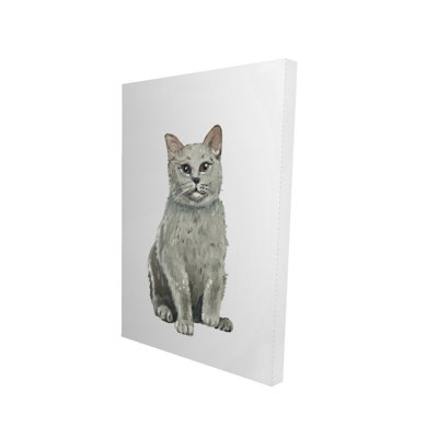 Gray Illustrative British Shorthair Cat Canvas - Home Decor