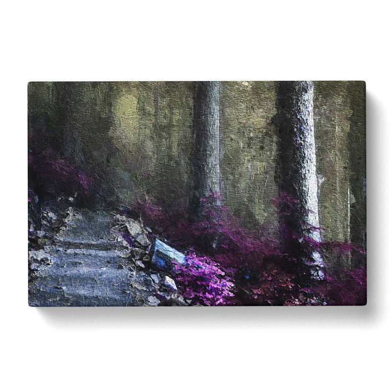 Path Through A Forest In Vancouver - Wrapped Canvas Painting, 35cm H x 50cm W x 3cm D