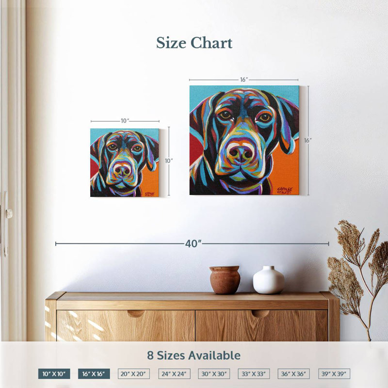 Brampt Dog Friend II, H 16 po x l 16 po