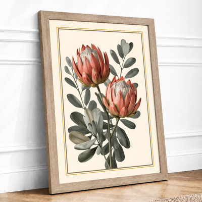 Protea Studies Botanical - Framed Print