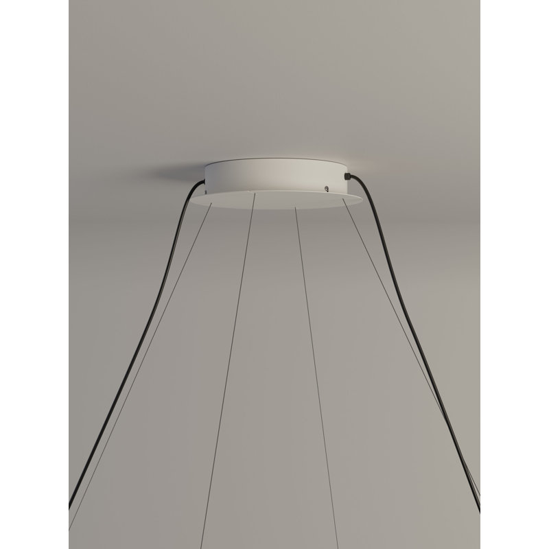 Tekiò Oval P12, Circular