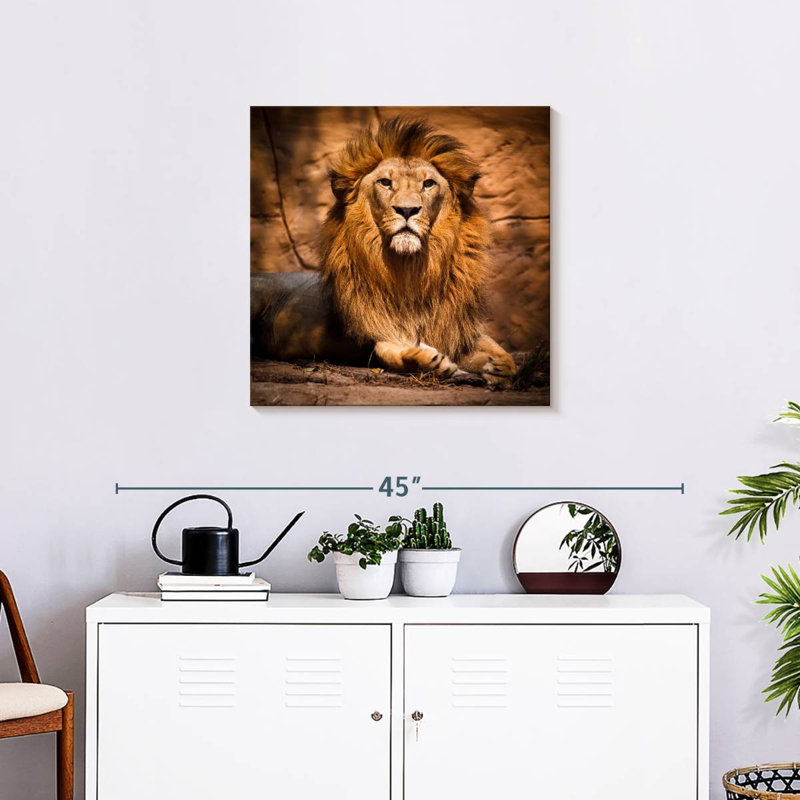 Crowle Safari Lion, H 24 po x l 24 po