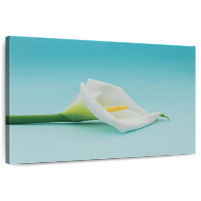Harnek Calla fleur de lys