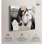 Art mural rustique Kintsugi Horses II par Art Remedy, prêt à accrocher, 24 x 24-960108767