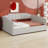Upholstered Daybed With Underneath Storage-1419664773