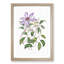 Violet Clematis Flowers - Picture Frame Painting Print-55605554-55605556