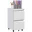 Milayna 37cm Wide 2 -Drawer Mobile Steel File Cabinet-1584993064