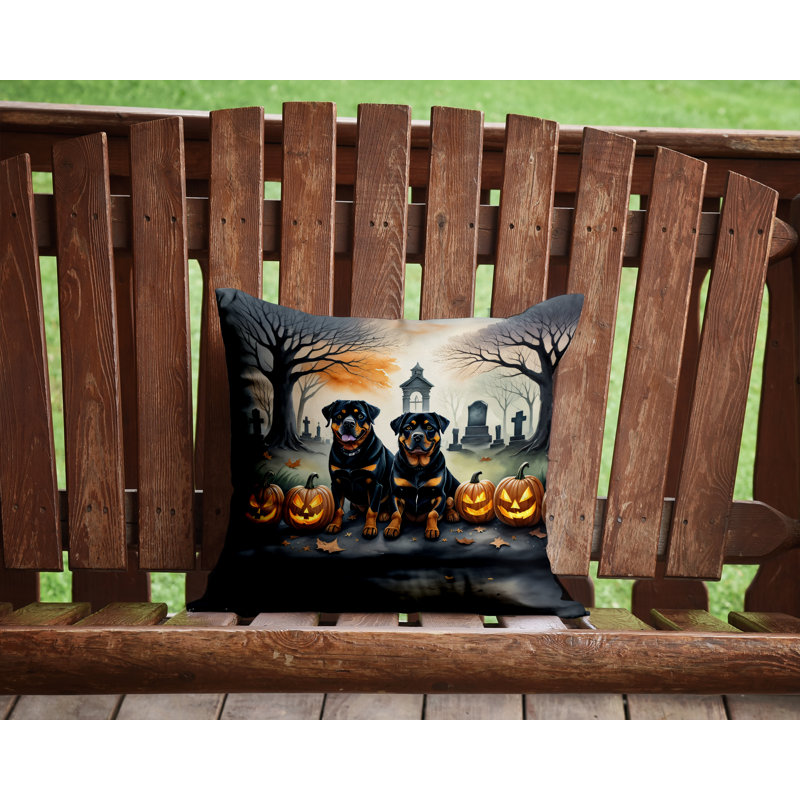  Coussin décoratif intérieur / extérieur en polyester Autre / Sans motif, 14 po x 14 po