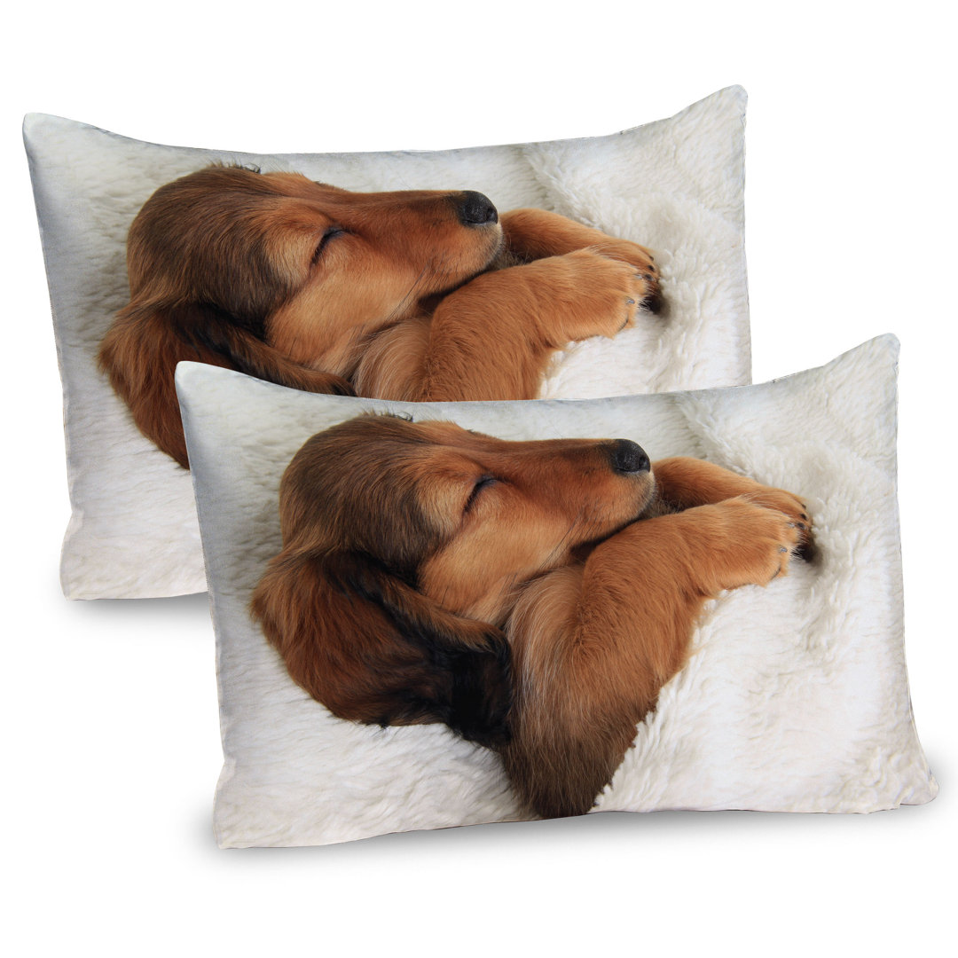 Kissenbezug, Puppy Sleeping in seinem Bett, Dackel, Ivory Zimt