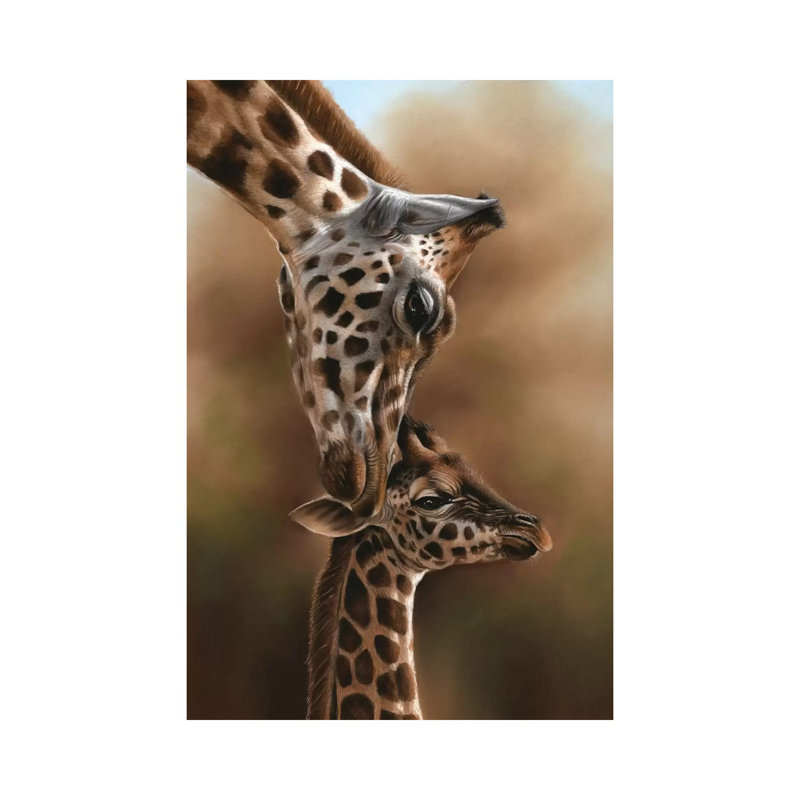 Giraffes by Richard Macwee - Wrapped Canvas Gallery-Wrapped Canvas Giclée, 152.5 cm H x 101.5 cm W