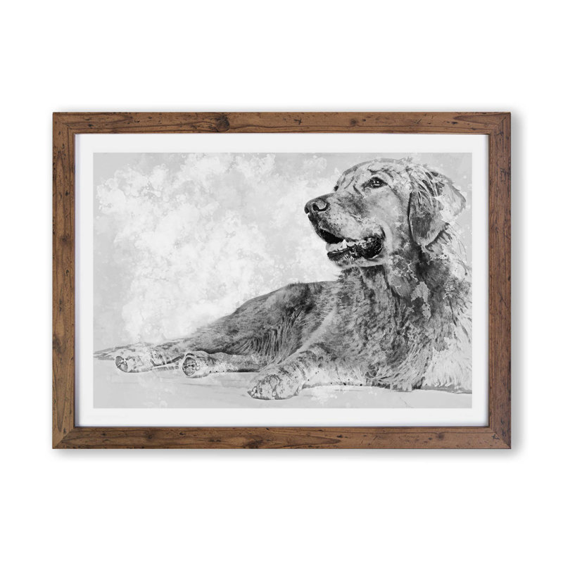 Golden Retriever in Abstract - Framed Print, Walnut, 33cm H x 45cm W x 2cm D